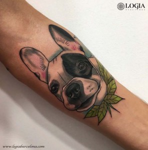 tatuaje-brazo-perro-color-logia-barcelona-zeus-errejota   